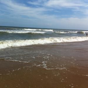 Meet your Posher, Annie